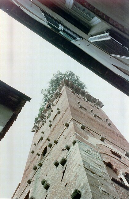 The Tree Tower