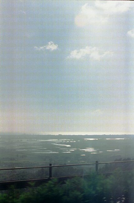 I can see the sea! Can you? Can you? I can see the sea!