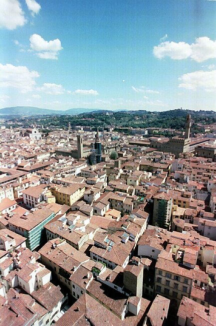 Lots of terracotta