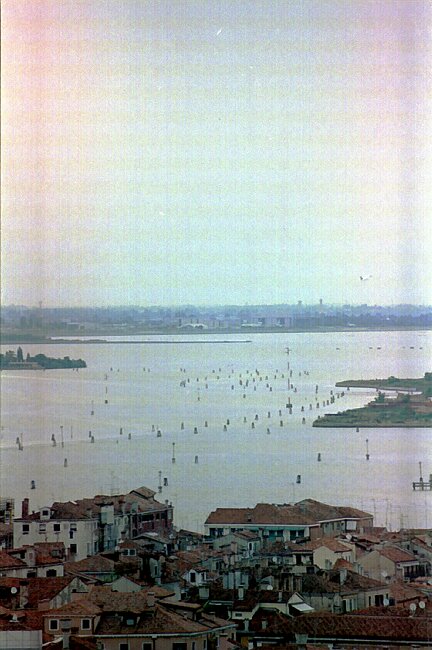 A view from the campanile