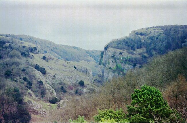 Gorge(ous)