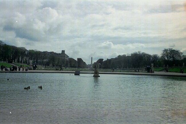 Home of the French chicks