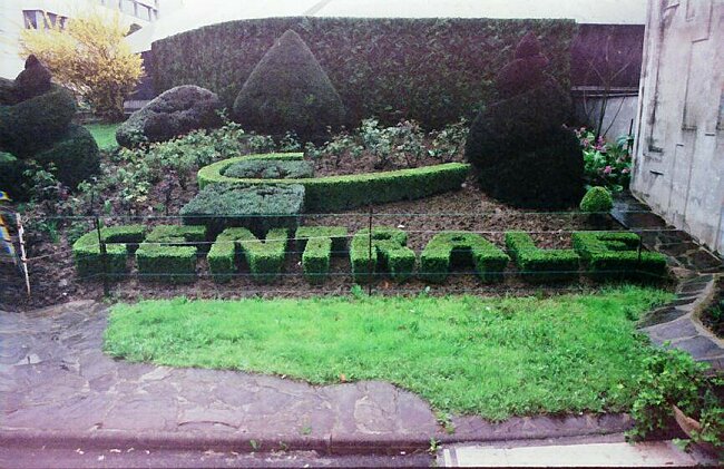 A picture of the topiary to finish off the film