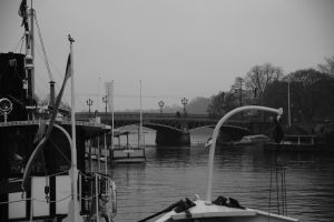 Image 91