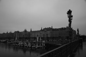 Image 97