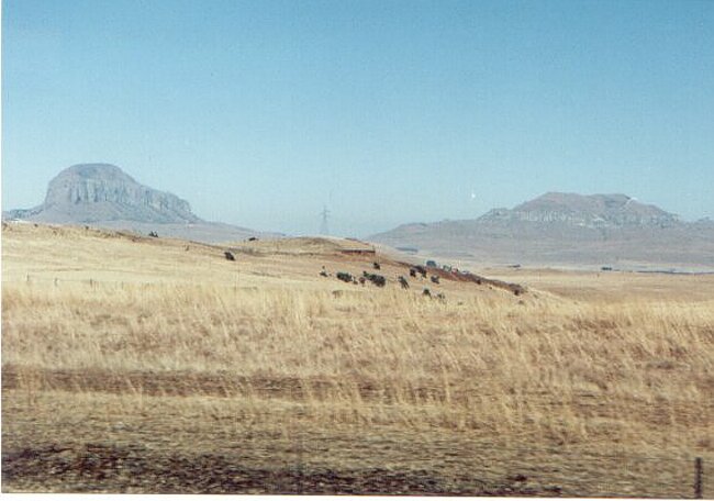 Scenery during journey to Bloem