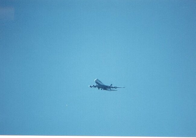 The plane that almost hit the bus