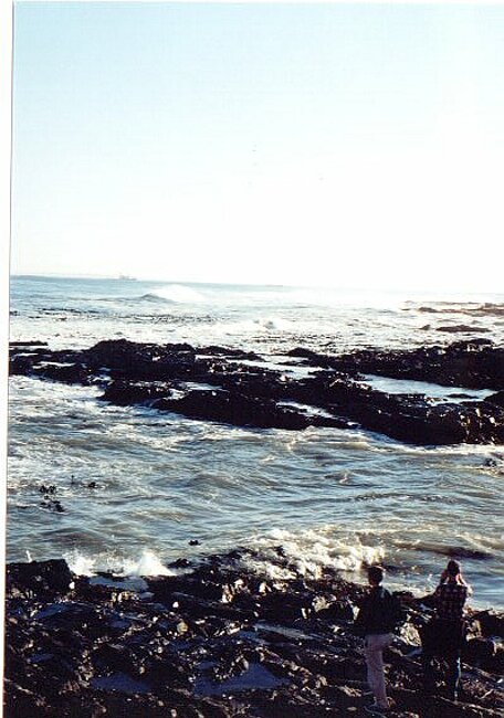 Rocks and oil at Sea Point