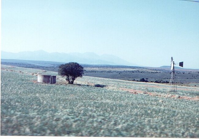 Blue tinted coach windows make the Little Karoo seem verdant