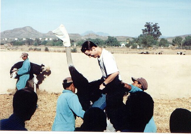 Even a bag over his head would not have kept Charlie calm here