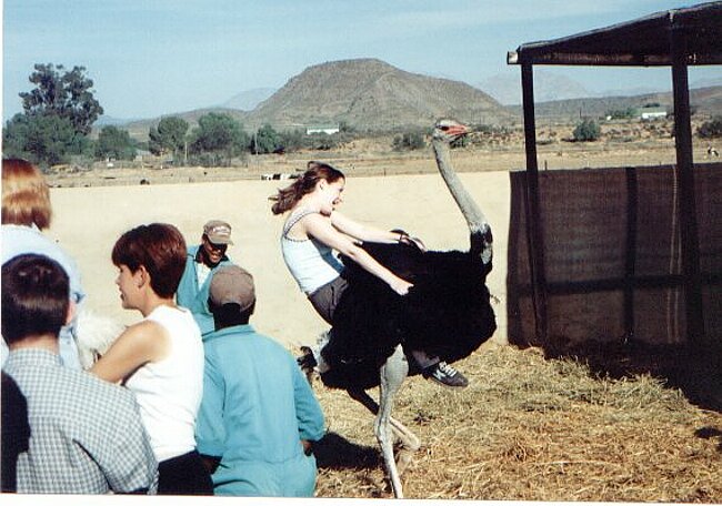 Tara almost sliding off the back of her ostrich