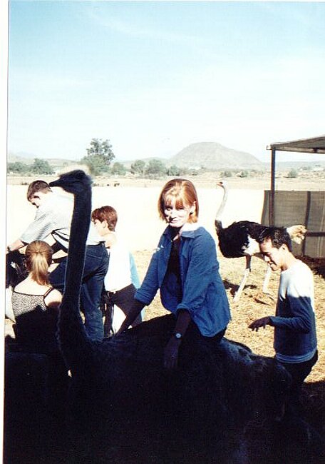 Ruth picks a very sedate ostrich
