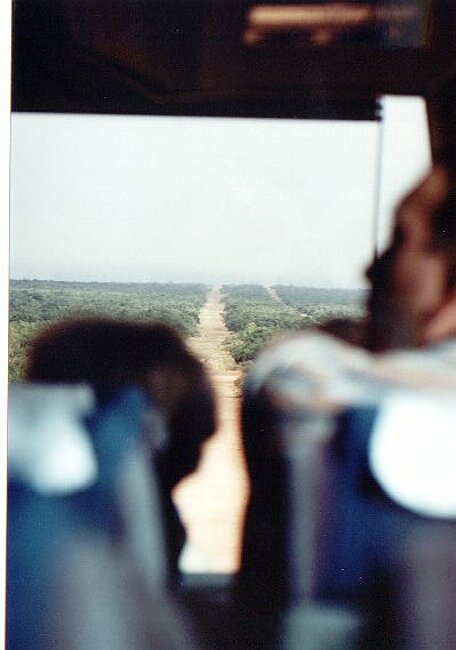 Where are these elephants then?