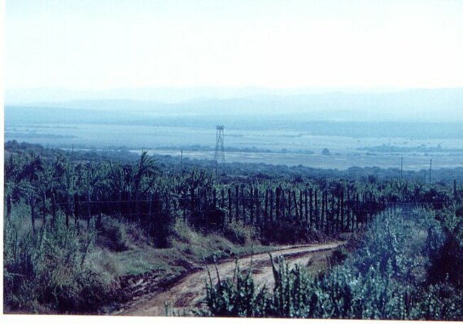 Elephant-proof fence or chestnut pailing ?