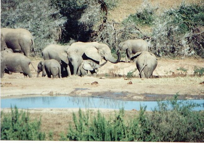 Back at the rest camp